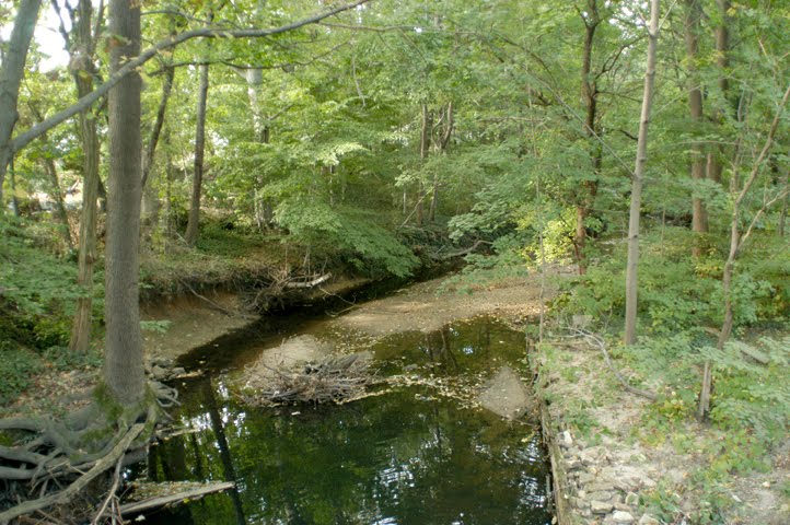 Newton Creek From Park Ave.