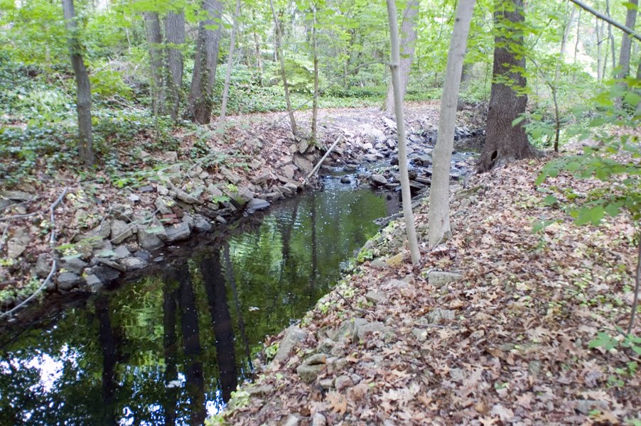 Newton Creek Below Park Blvd