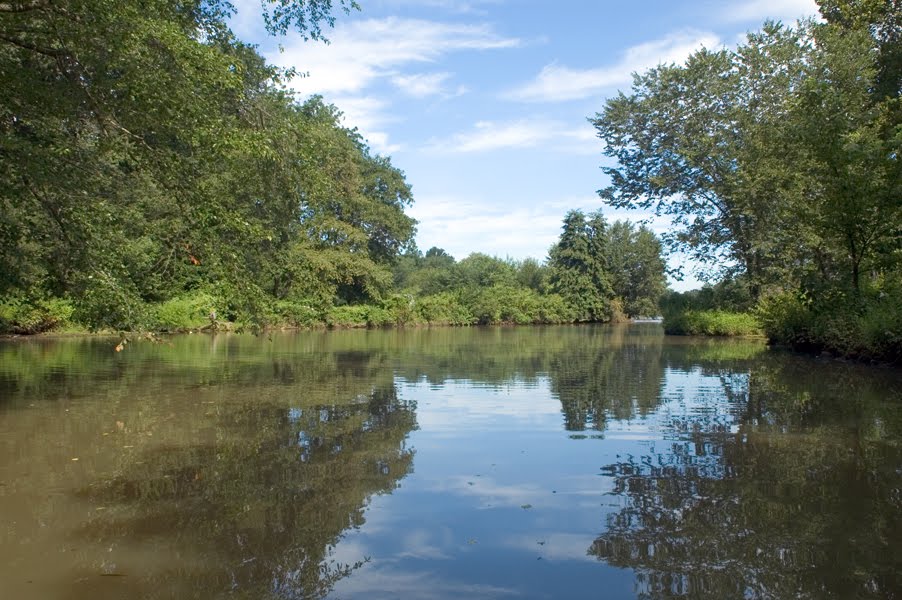 Cooper River