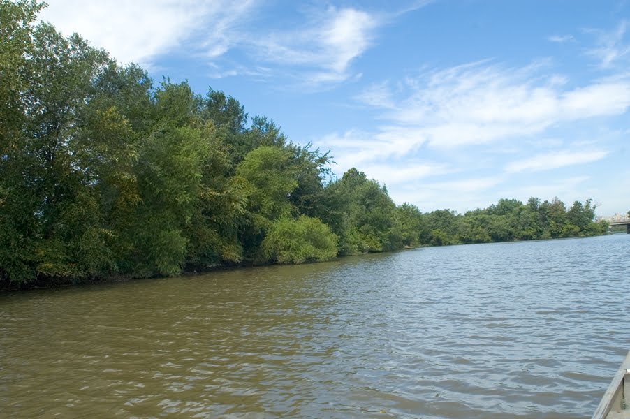 Cooper River Above Cuthbert Blvd