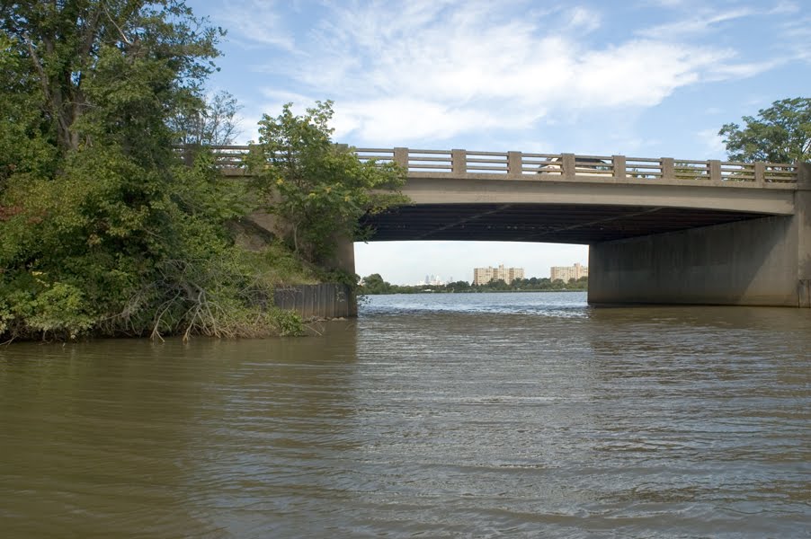 Cooper River Above Cuthbert Blvd