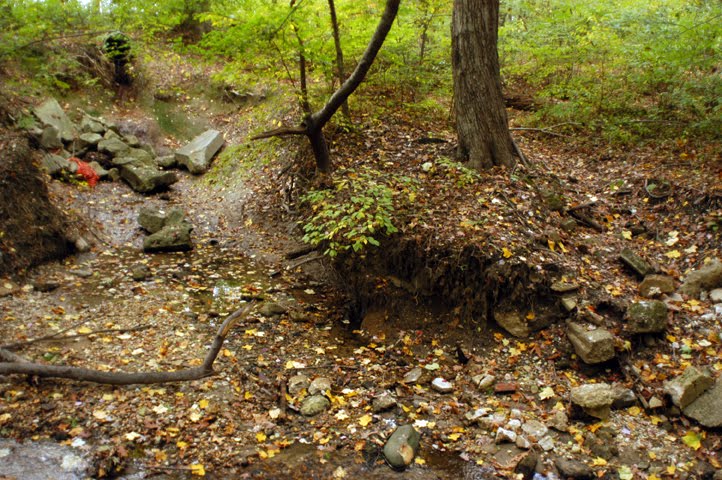 Saddlers Woods Outfall