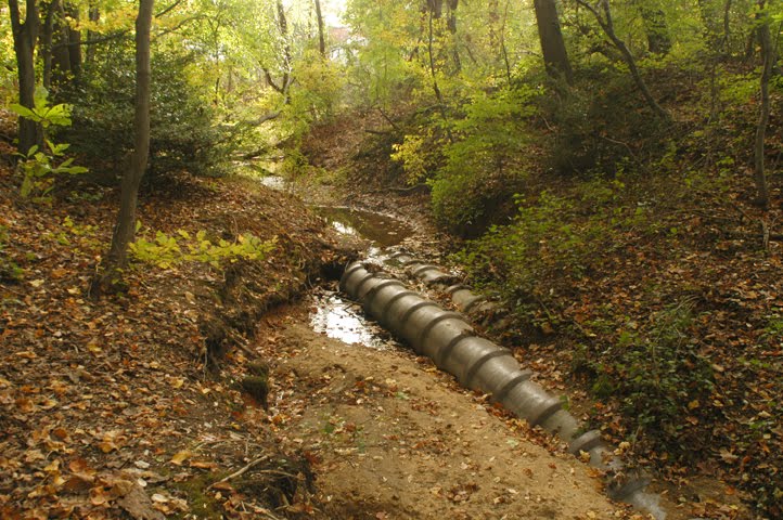 Saddlers Woods, Saddlers Run