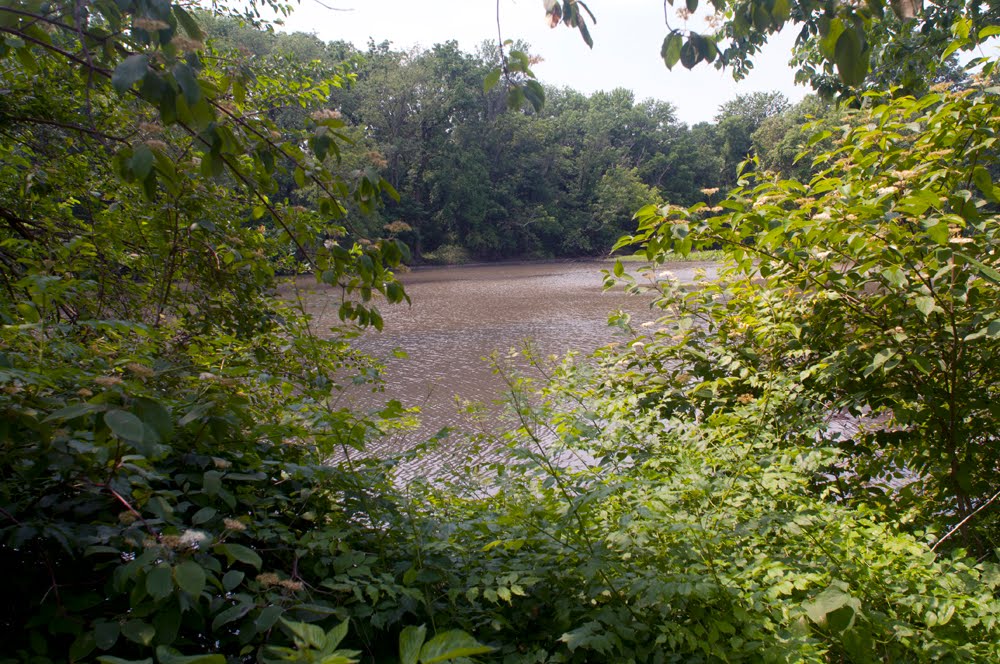 Cooper River Below Grove St