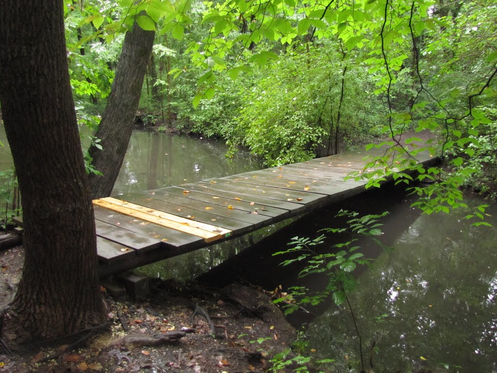 Hopkins Pond Park Trail Bridge