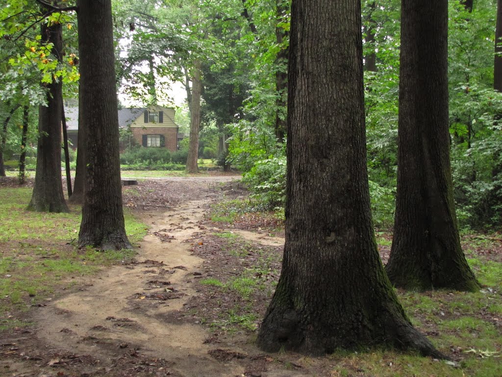Hopkins Pond Park North Side