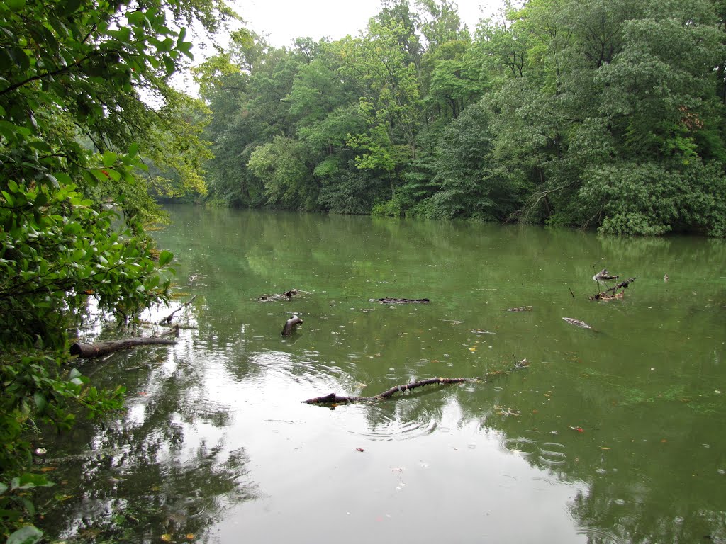 Hopkins Pond  Green Water