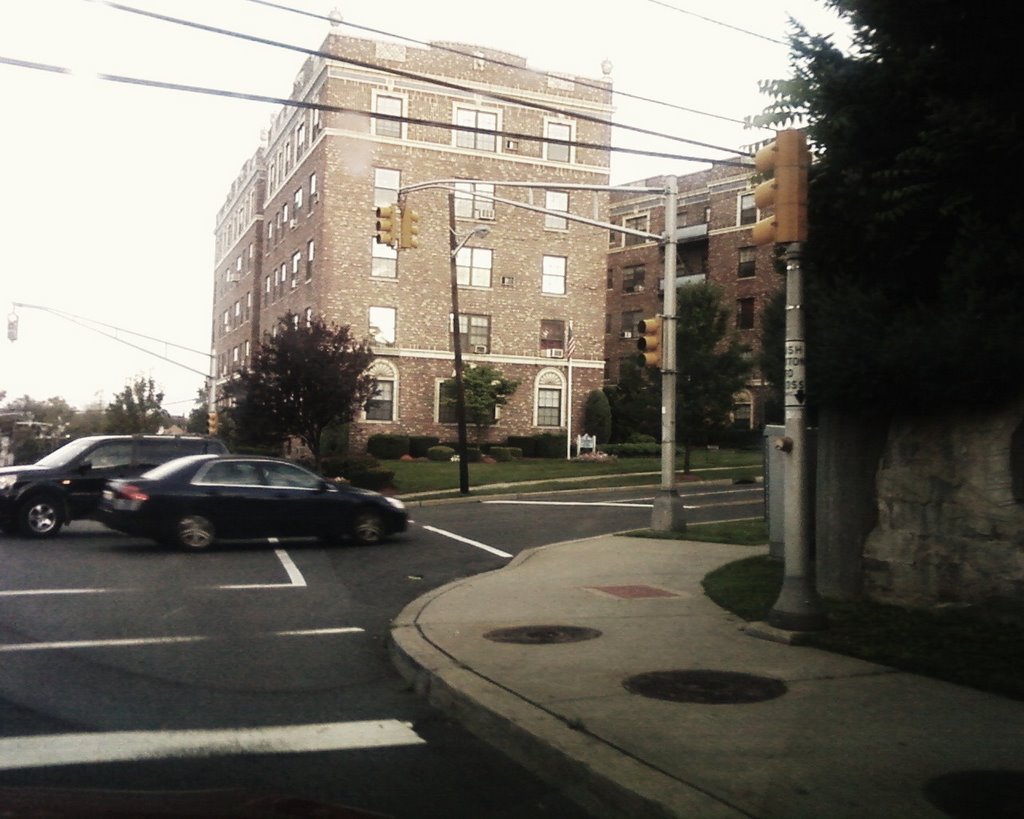 My street when young