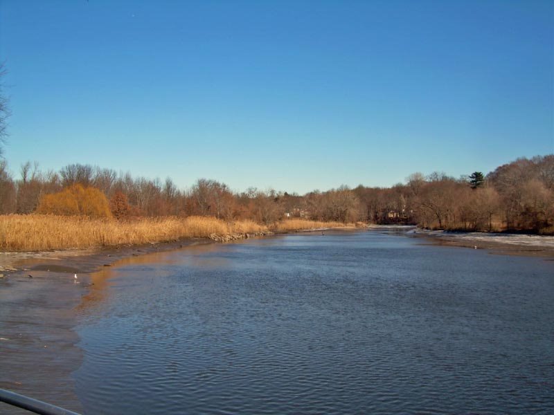 Hackensack River Park