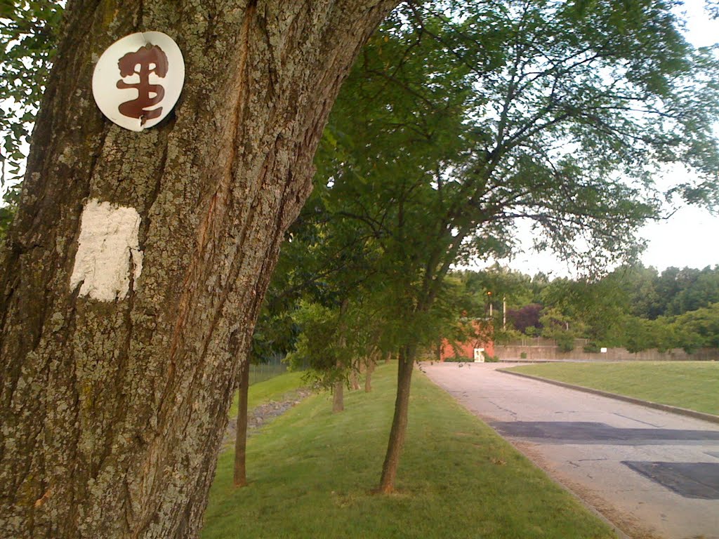 PP in Cedar Knolls