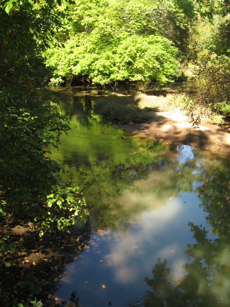 Pennypacker Park