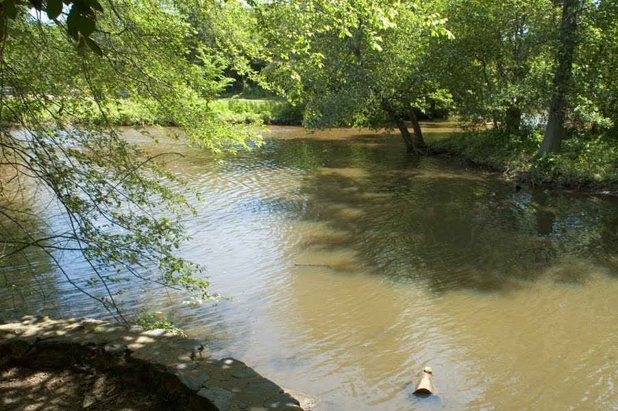 Stream At Cooper River