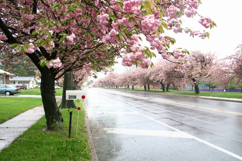 Chapel Avenue West in Cherry Hill