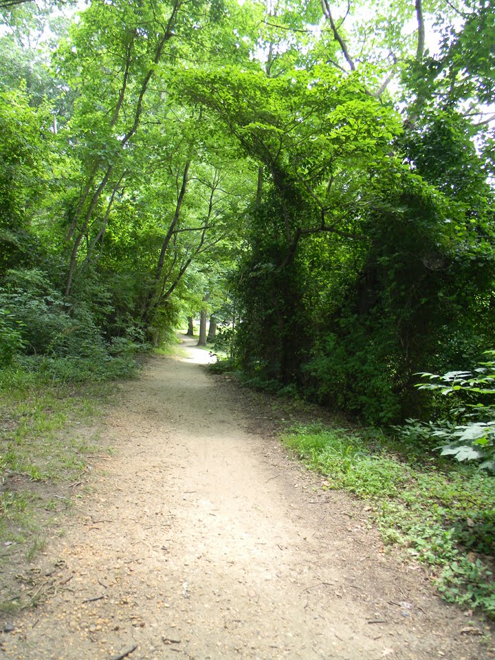 Cooper River, Greenwald Park