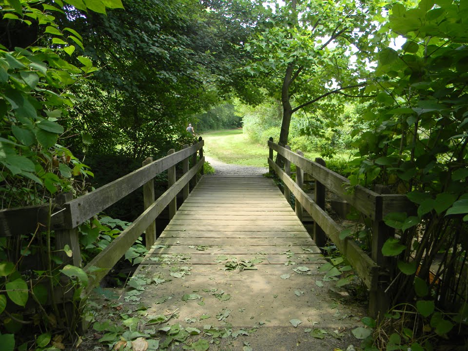 Cooper River, Greenwald Park