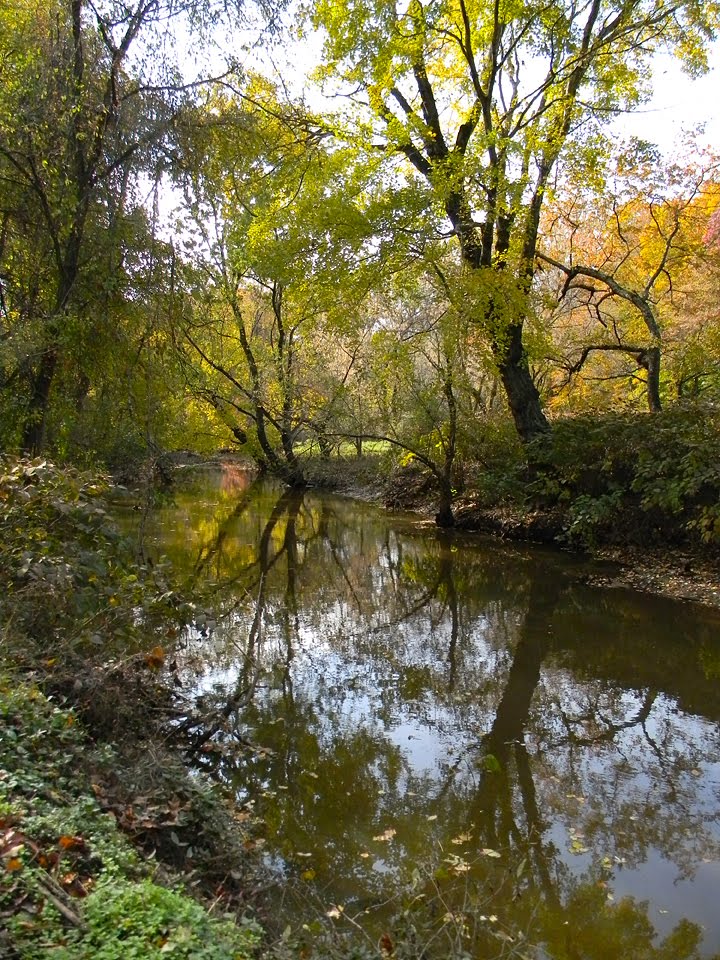 Cooper River at Cooper River Park, Fall