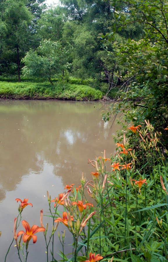 Cooper River Above Grove St.