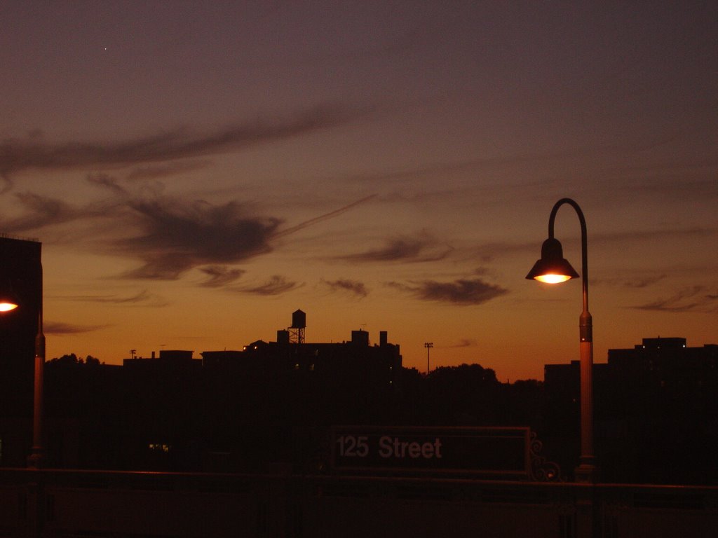 125 ST train Station