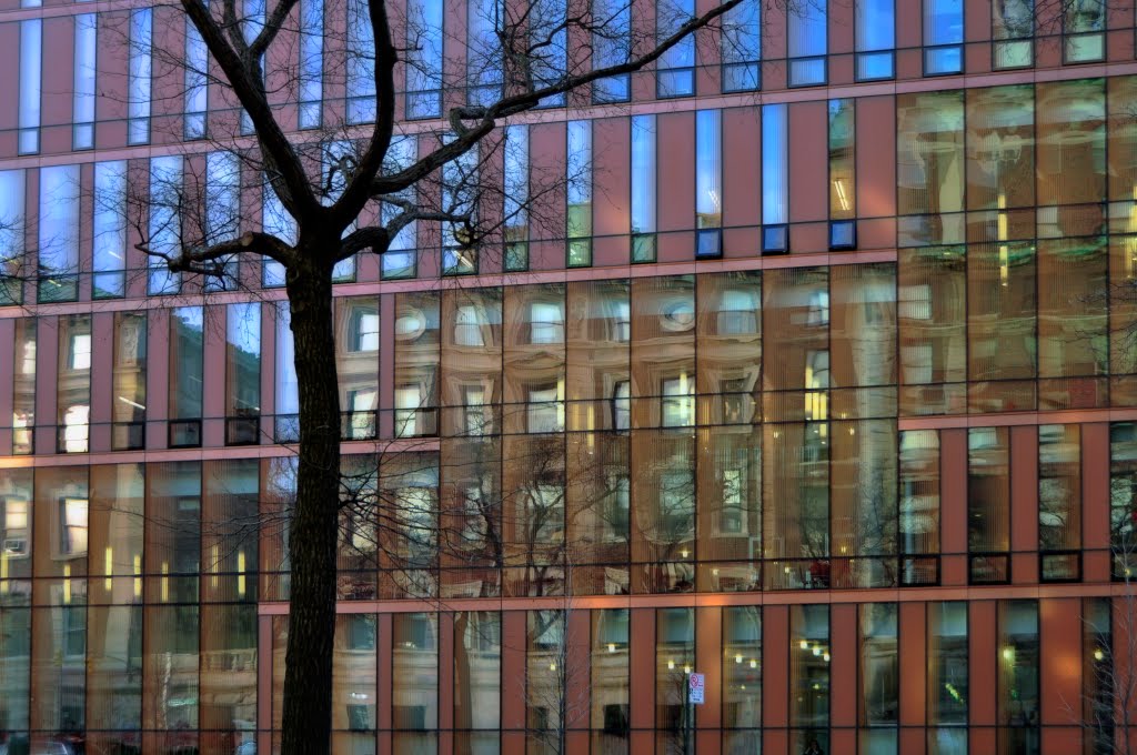 USA - NY - New York City. Morningside Heights. Columbia University. A tree in front of concrete n glas.