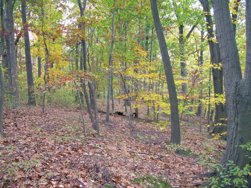 Private Road