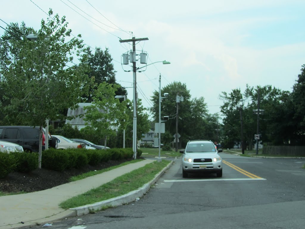 Red Light Camera