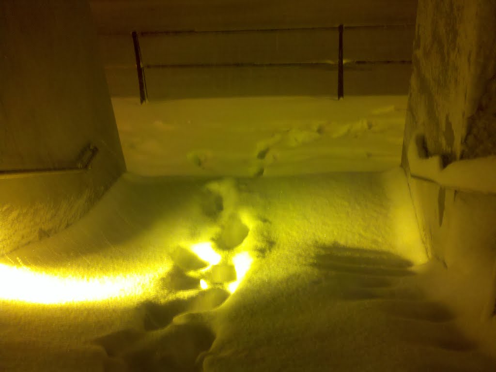 Snow Strom