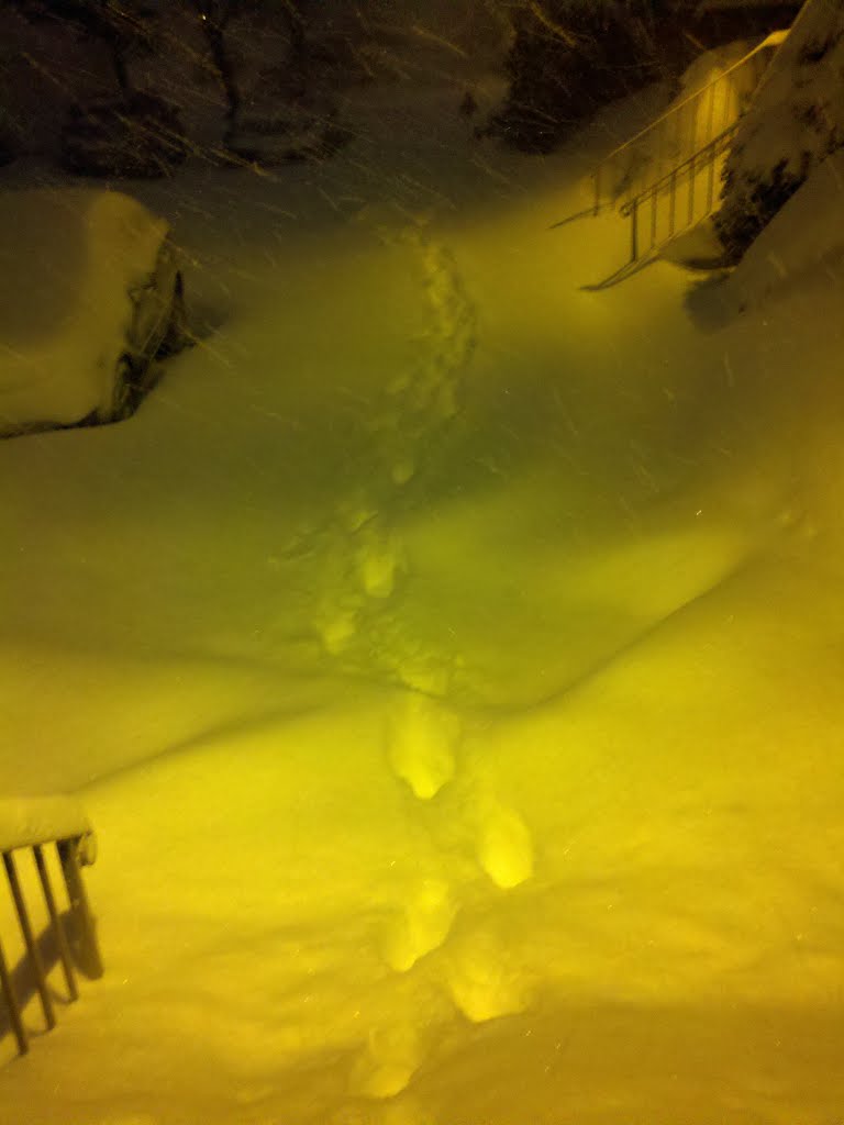 Snow Storm