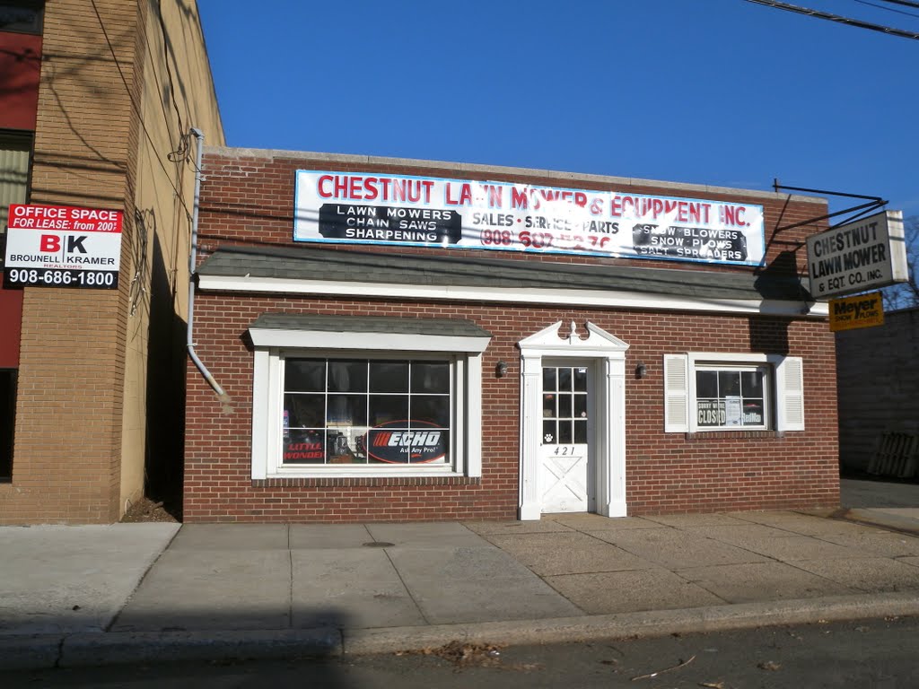 Chestnut Lawn Mower & Equipment Inc