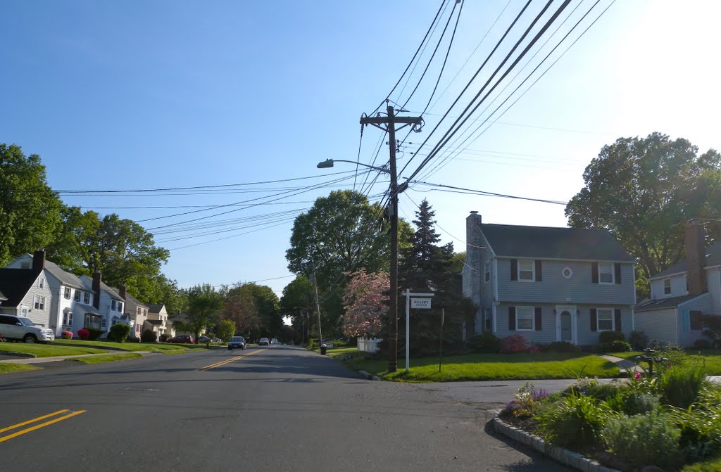 Salem Road