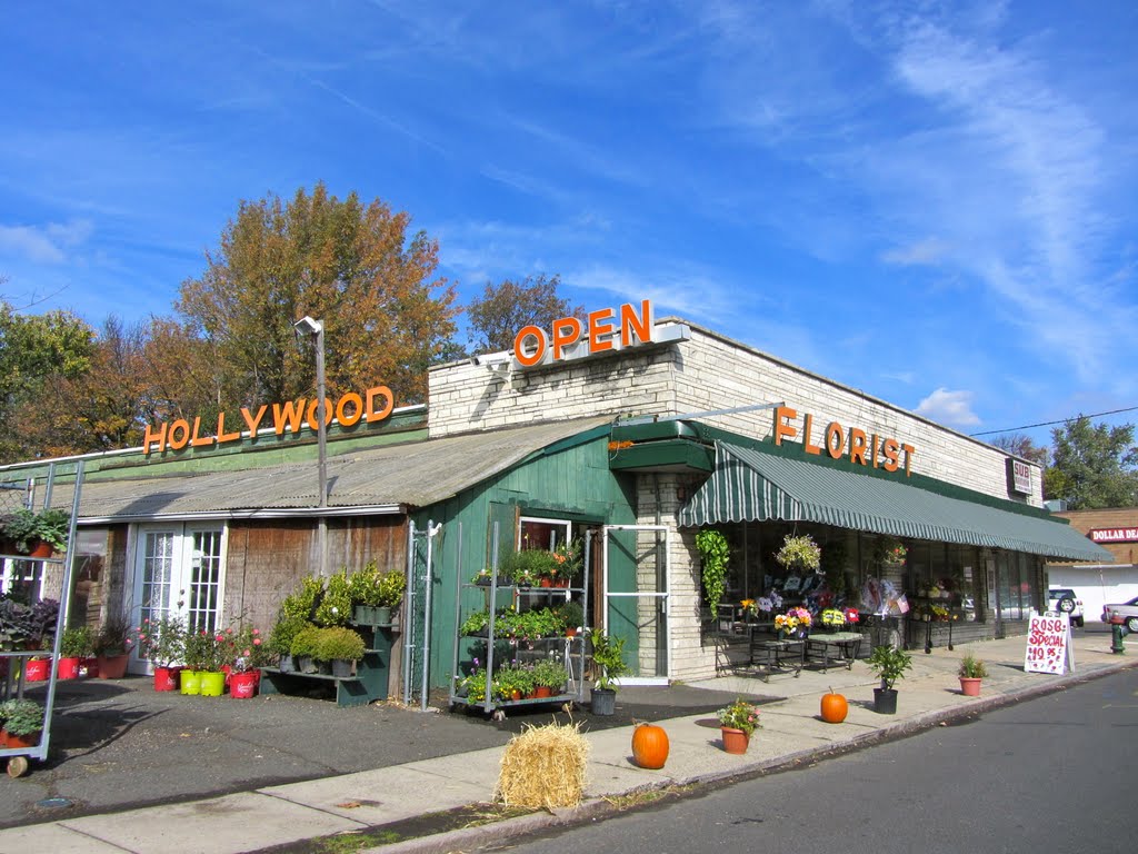 Hollywood Florist union nj