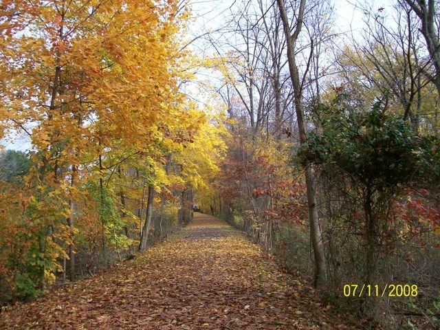 north trail bicycle