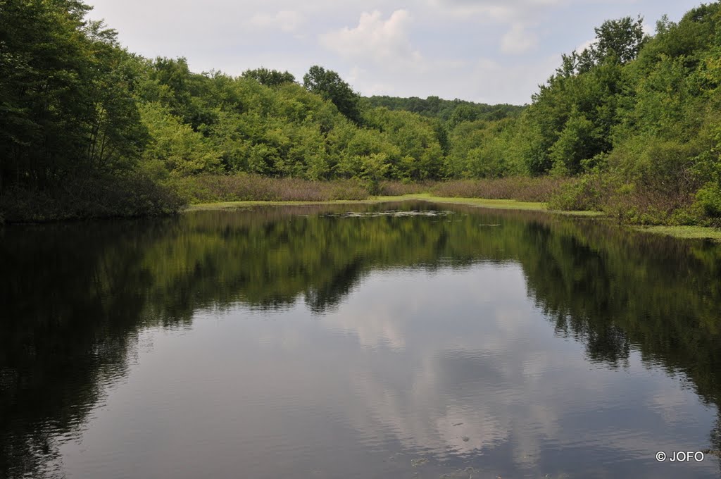 Halsey Pond