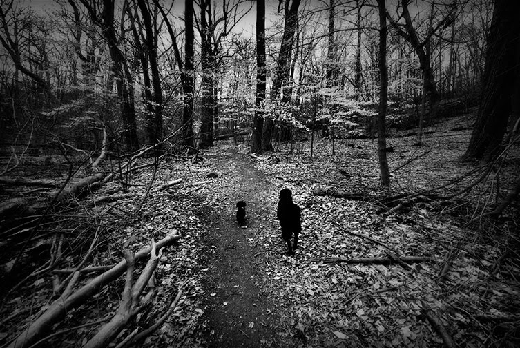 hiking in the woods
