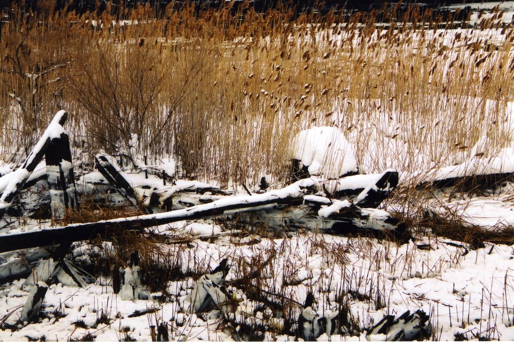 Winter landscape on Staten Island
