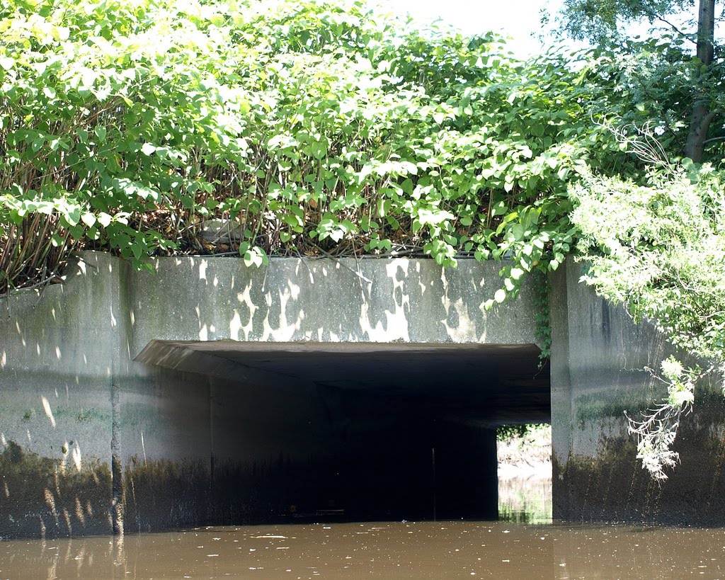 Staten Island Expressway Bridge over Old Place Creek, Staten Island, New York City