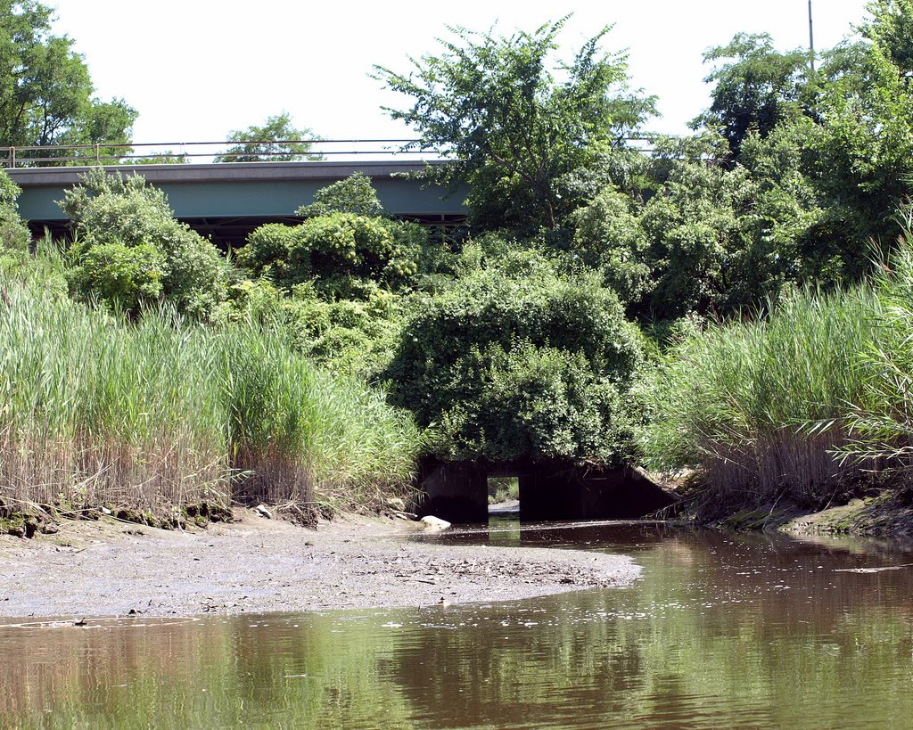 West Shore Expressway Bridge over Old Place Creek Inlet, Staten Island, New York City