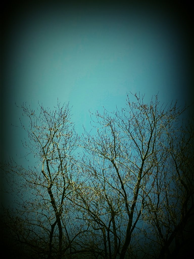 Backyard: simple edit : frame