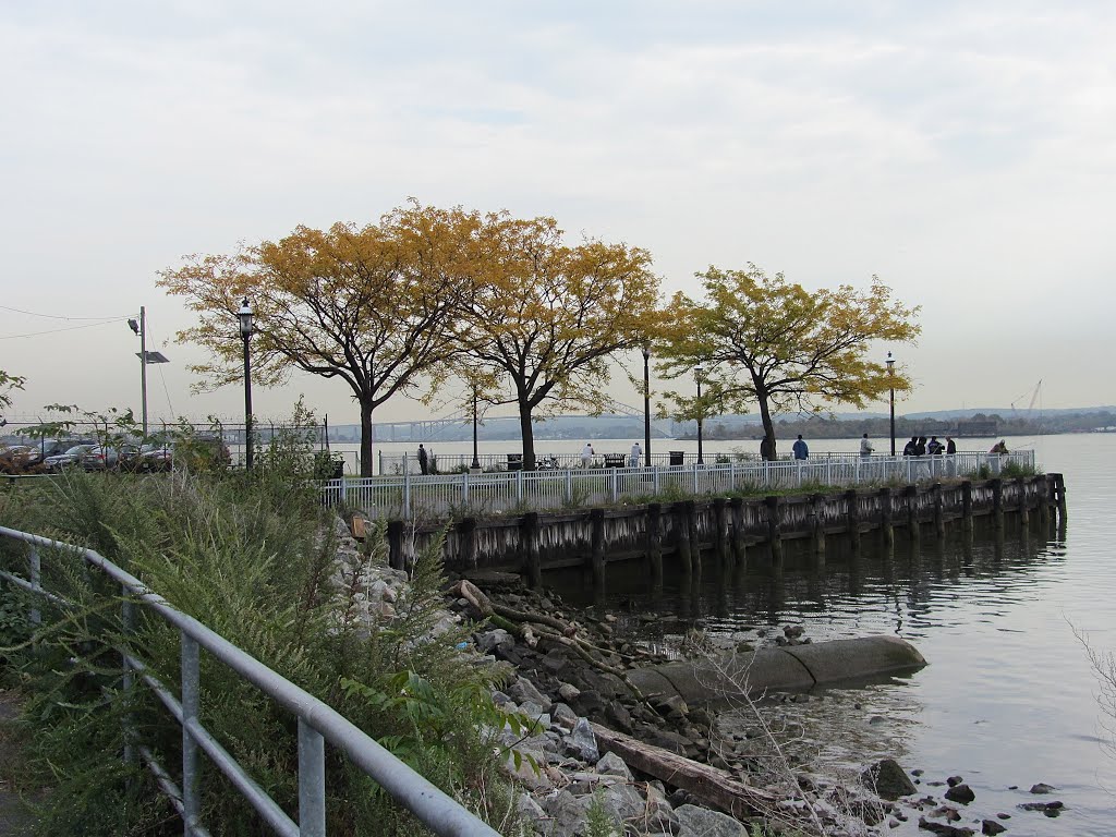Marciante-Jackson-Millet Park