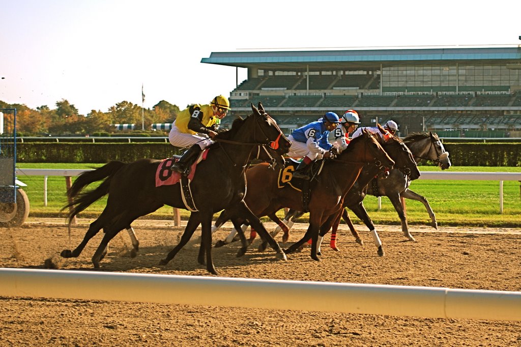 Out of the Gate At Belmont Racetrack