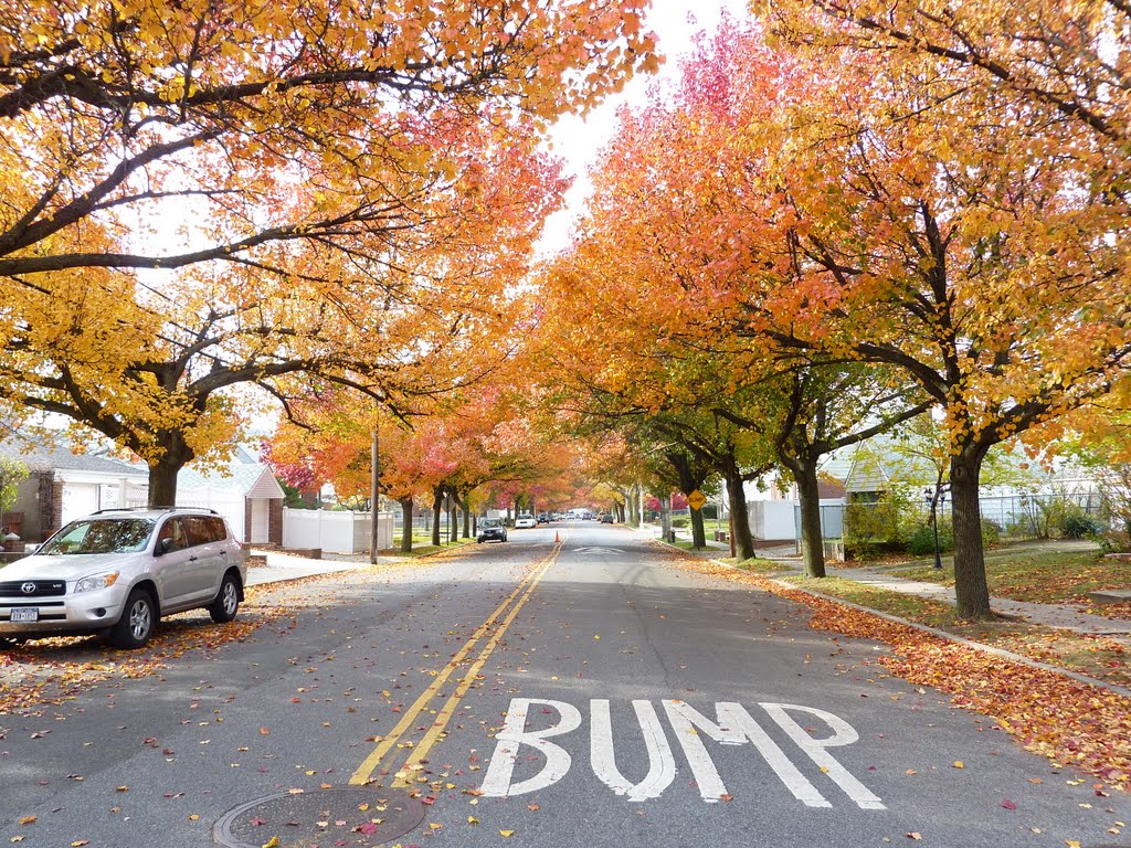 Fall in Glen Oaks