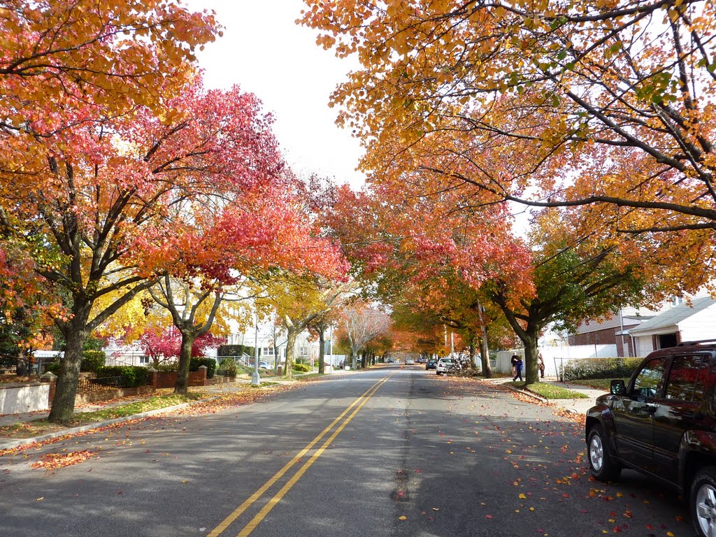 Fall in Glen Oaks 2