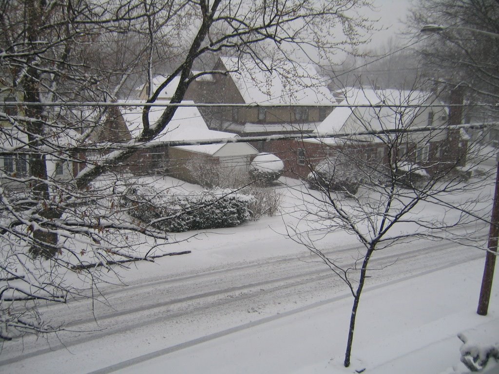 Floral Park with snow
