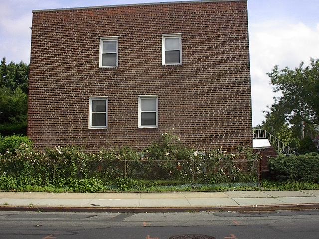 Rusty Fences and White Roses--Now Thats Queens! 4 July 2001