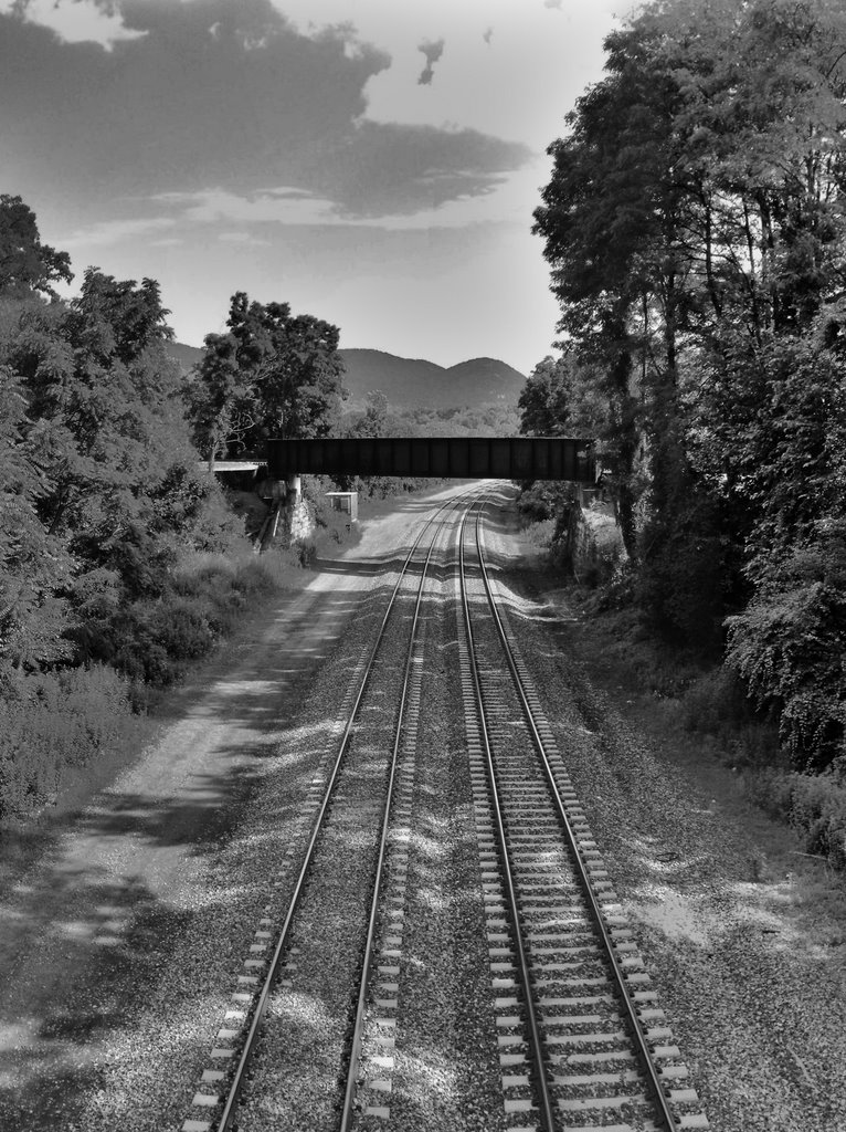 Metro North