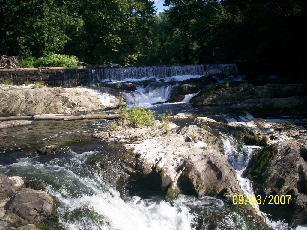 Madam Brett Park Waterfall