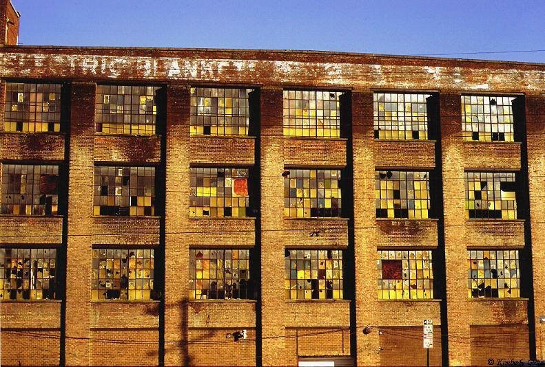 Electric Plant