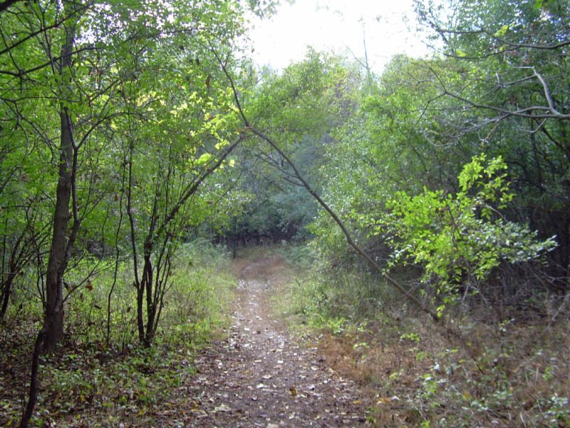 Denning’s Point State Park