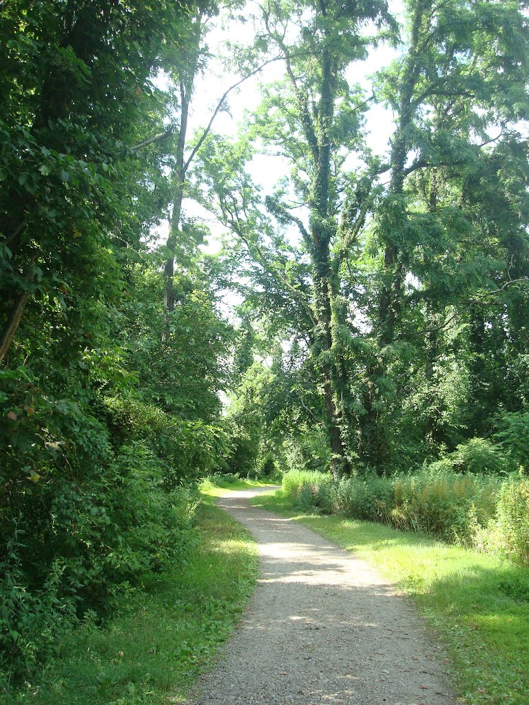 Dennings Point Trail