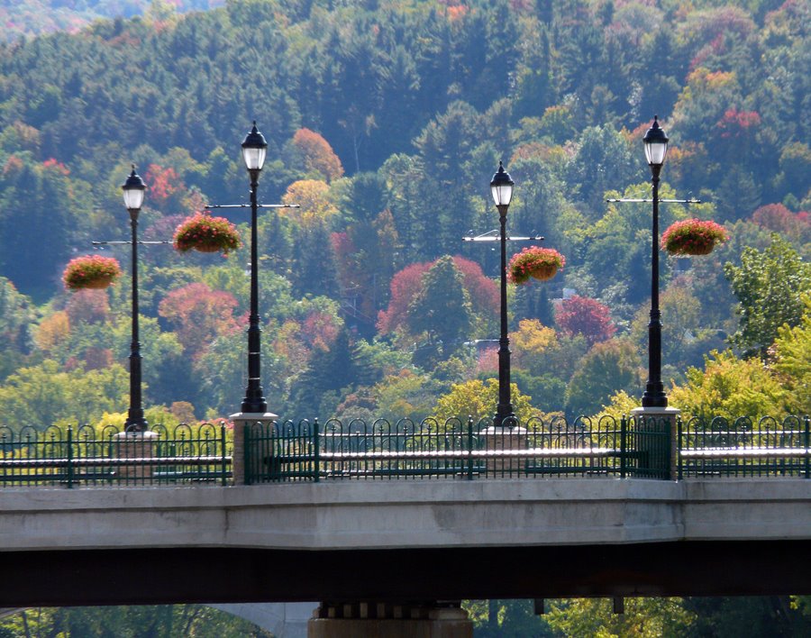 copyrighted__  Memorial Bridge Riverside Dr.