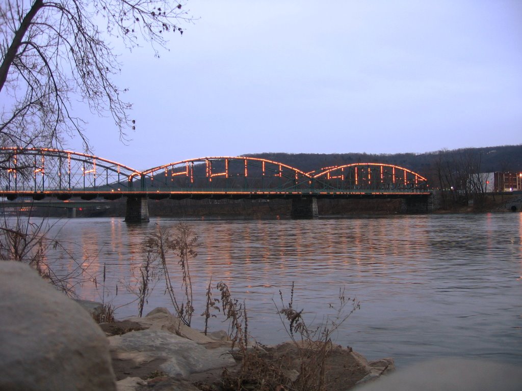 Washington Street Bridge in Binghamton, NY [007816w]